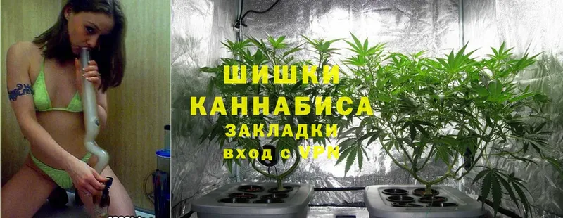 Шишки марихуана White Widow  Кубинка 